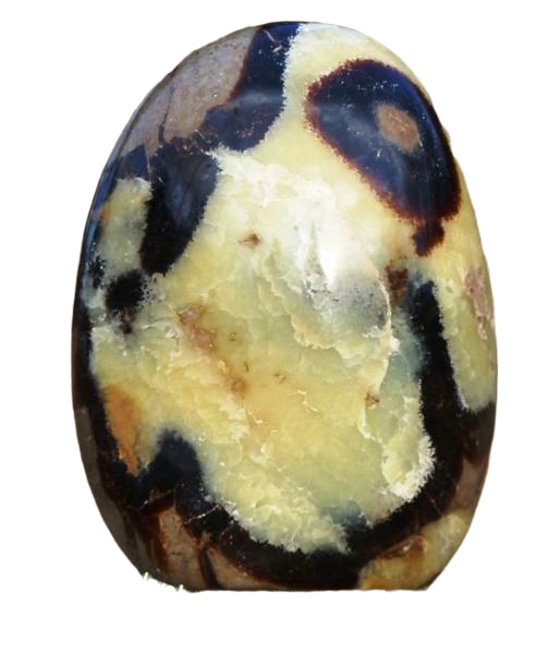 Septárie