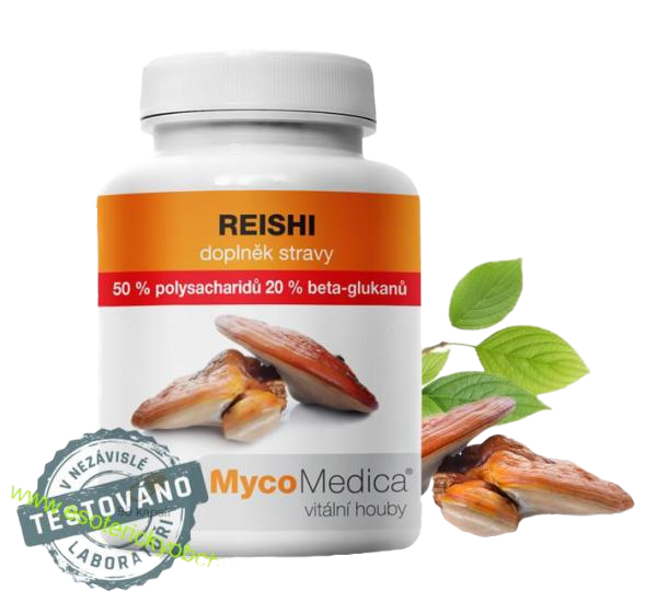 MEDICINÁLNÍ HOUBY