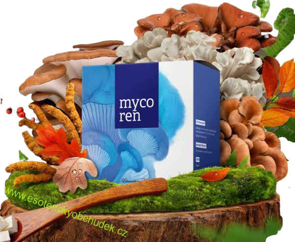 MYCOSYNERGY - Medicinální houby