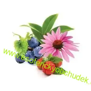 MULTIcell - vitamíny a minerály, acerola, echinacea a zelený čaj 90 kaps.