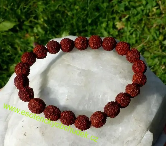 Náramek - z oříšků rudraksha 8 mm