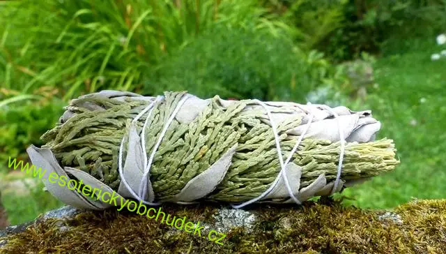 Šalvěj bílá + cedr - šamanský svazek malý pro vykuřování cca 20 g (10 - 11 cm)