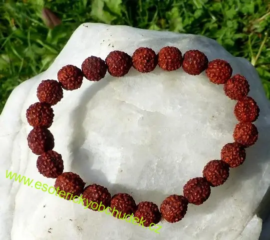 Náramek - z oříšků rudraksha 8 mm