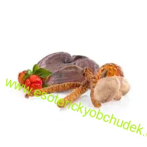 MycoComplex - imunita, obranyschopnost
