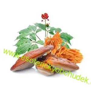 Žen šen s Cordycepsem a s Reishi 180 kapslí