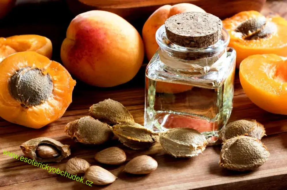 HIMALAYAN APRICOT OIL - OLEJ Z MERUŇKOVÝCH JADER 100 ml - účinně stimuluje naše duševní schopnosti, napomáhá ke zlepšení pocitu svěžesti, uvolňuje a celkově zklidňuje