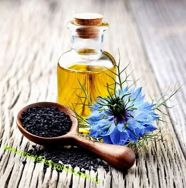 ORGANIC NIGELLA SATIVA - ČERNUCHA SETÁ OLEJ 100 ml -správné trávení a dýchání, doplňuje sily, reguluje toky energií v organismu, optimálnímu řízení procesů v těle a další