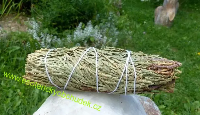 Cedr - šamanský svazek malý pro vykuřování cca 20 g (10 - 11 cm)