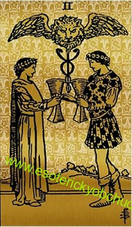 Tarot Black and Gold edition - Rider Waite tarot ve zlato-černé verzi - SET S KNIHOU 