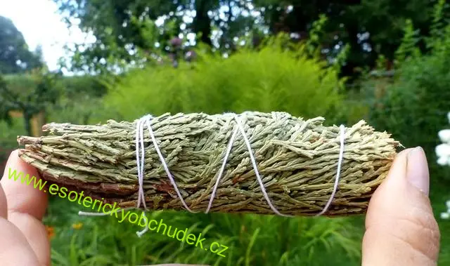Cedr - šamanský svazek malý pro vykuřování cca 20 g (10 - 11 cm)