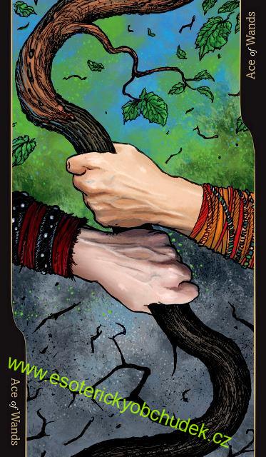 Tarot of Oppositions - Tarot protikladů - Michele D'Aloisio, Pierluca Zizzi