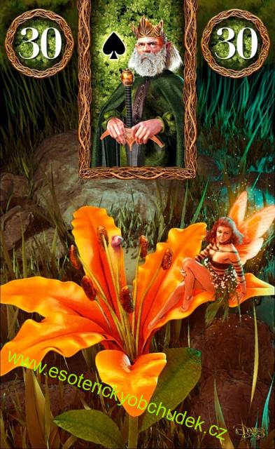 FAIRY LENORMAND ORACLE CARDS - Vílí Lenormand - věštecké karty - David Corsi