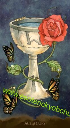 Tarot Malého prince - Little Prince Tarot -  RACHEL PAUL, MARTINA ROSSI