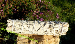 Šalvěj bílá - šamanský svazek pro vykuřování střední -  50 - 60 g