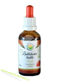 REISHI - Lesklokorka lesklá AF tinktura 50ml - obranyschopnost, imunita systému, hladina cholesterolu