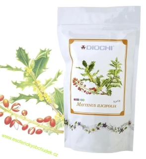 MAYTENUS ILICIFOLIA 150 g - čaj DIOCHI - zdroj fytoestrogenů které mají příznivý vliv na ženský organizmus