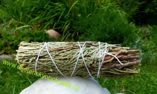 Cedr - šamanský svazek malý pro vykuřování cca 20 g (10 - 11 cm)