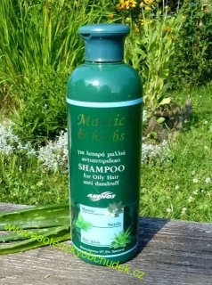 Šampon Mastix & Herbs proti lupům na mastné vlasy - 300ml