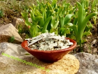 Vykuřovadlo - Eukalyptus 20 g